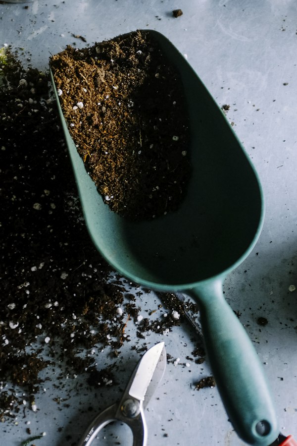 Cover of Satellite Gardens